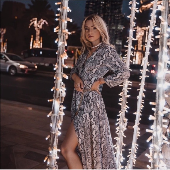 Last one♦️ZARA Snakeskin Printed Shirt Dress - Picture 2 of 7